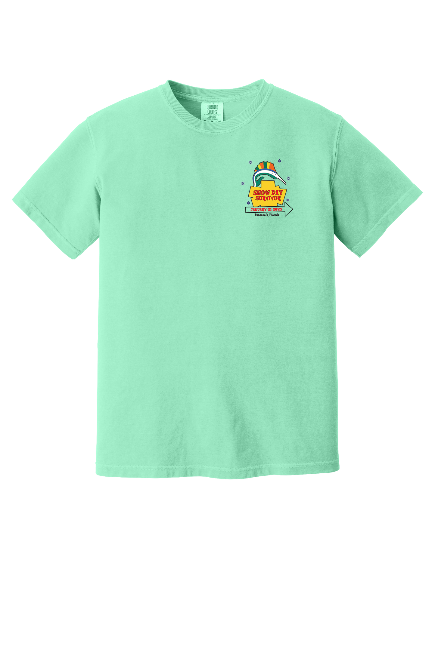 Pensacola Snow Day Survivor T-Shirt