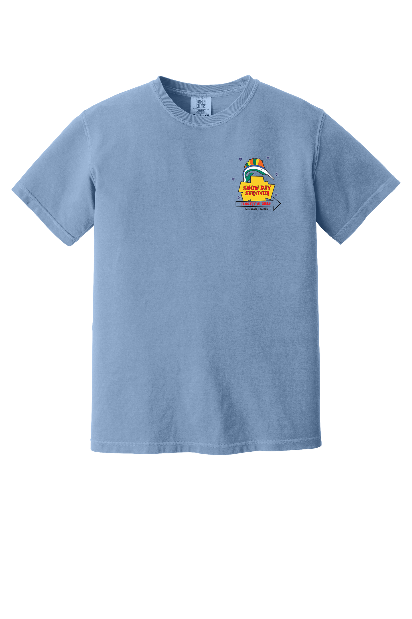 Pensacola Snow Day Survivor T-Shirt