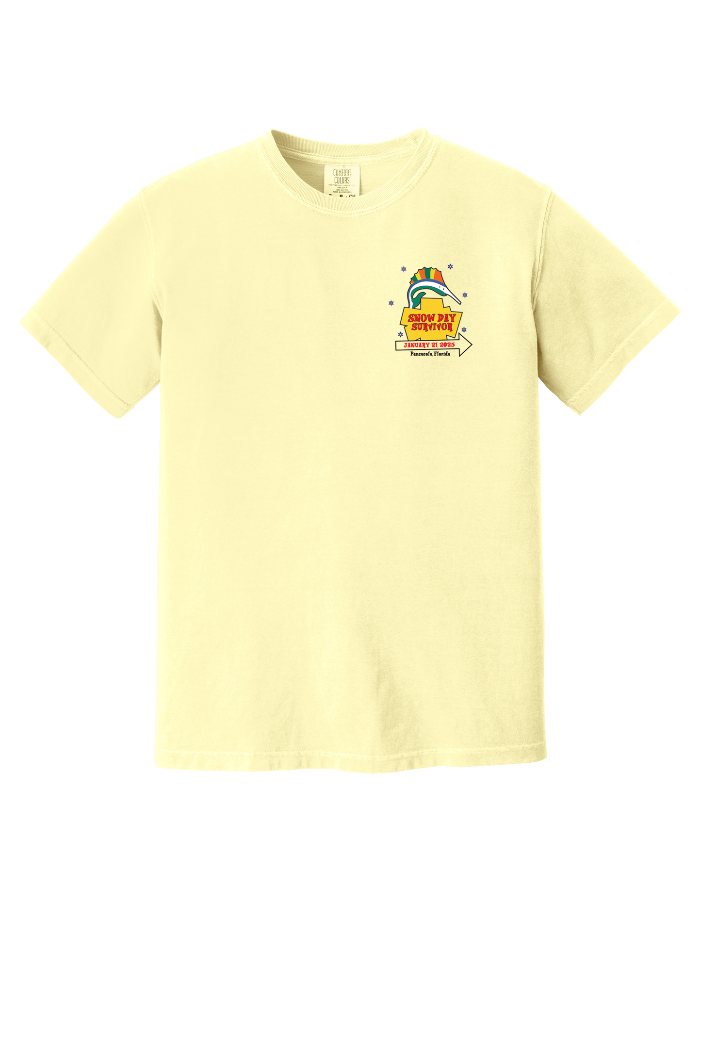 Pensacola Snow Day Survivor T-Shirt