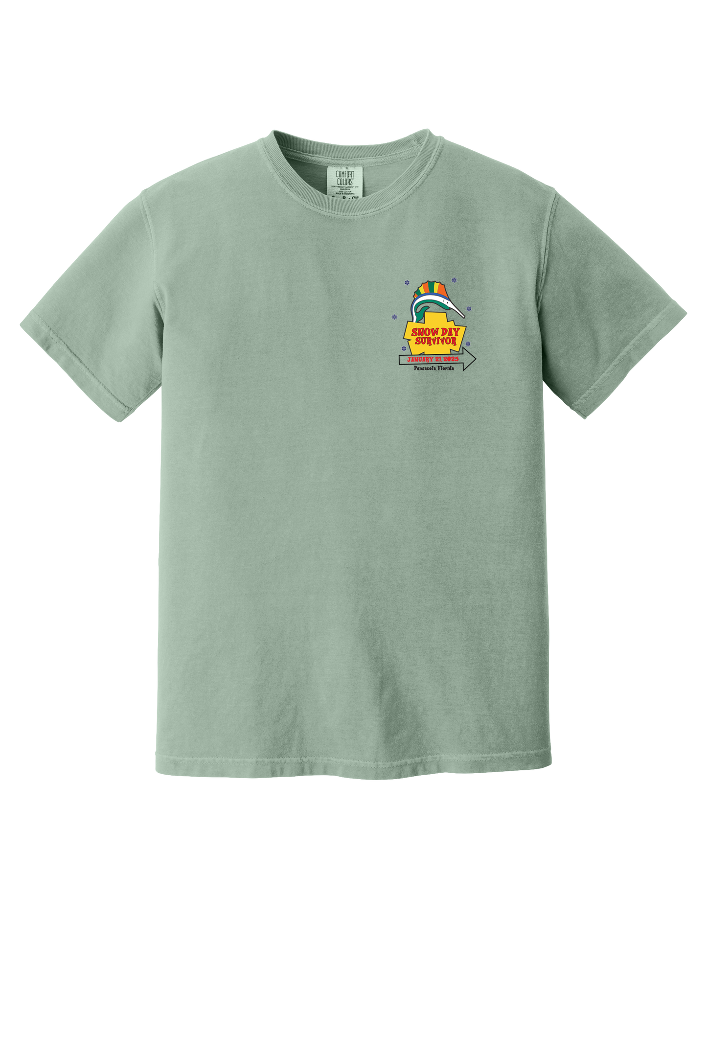 Pensacola Snow Day Survivor T-Shirt