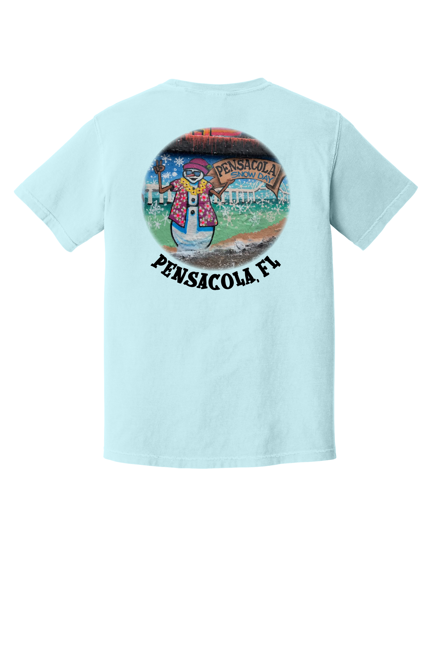 Pensacola Snow Day Survivor T-Shirt