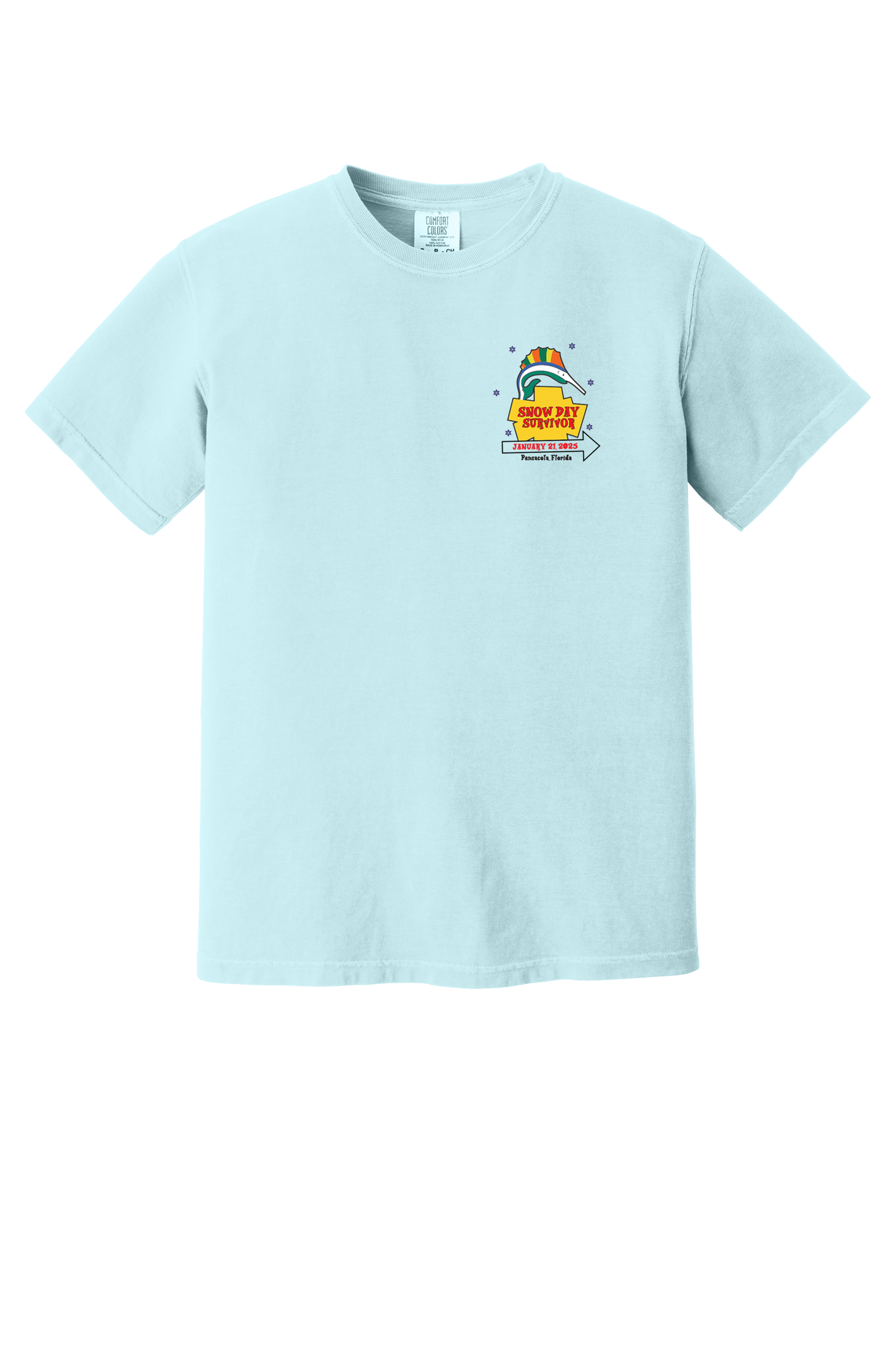 Pensacola Snow Day Survivor T-Shirt