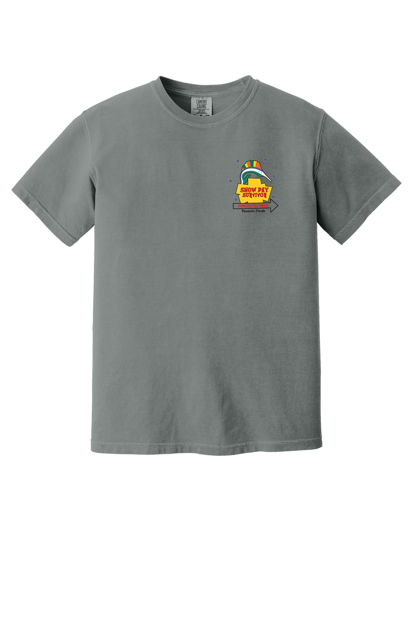 Pensacola Snow Day Survivor T-Shirt
