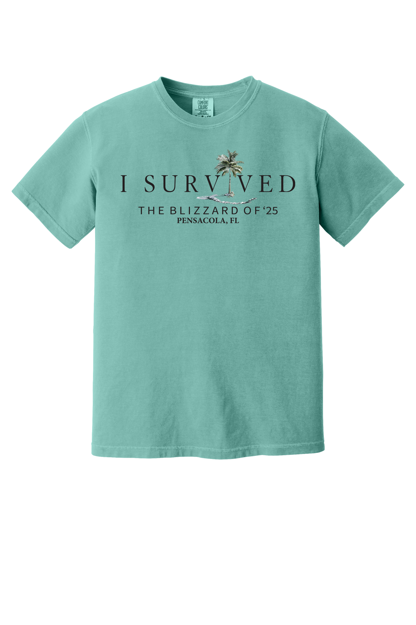 I Survived the Blizzard of 2025 Short Sleeve Comfort Color T-Shirt