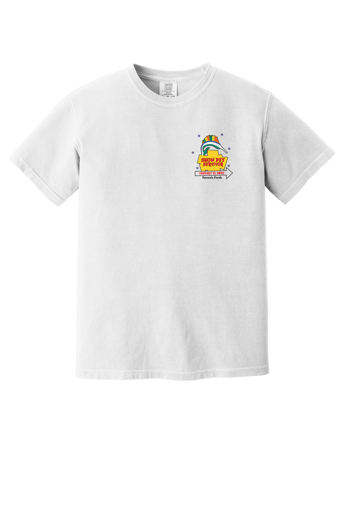 Pensacola Snow Day Survivor T-Shirt