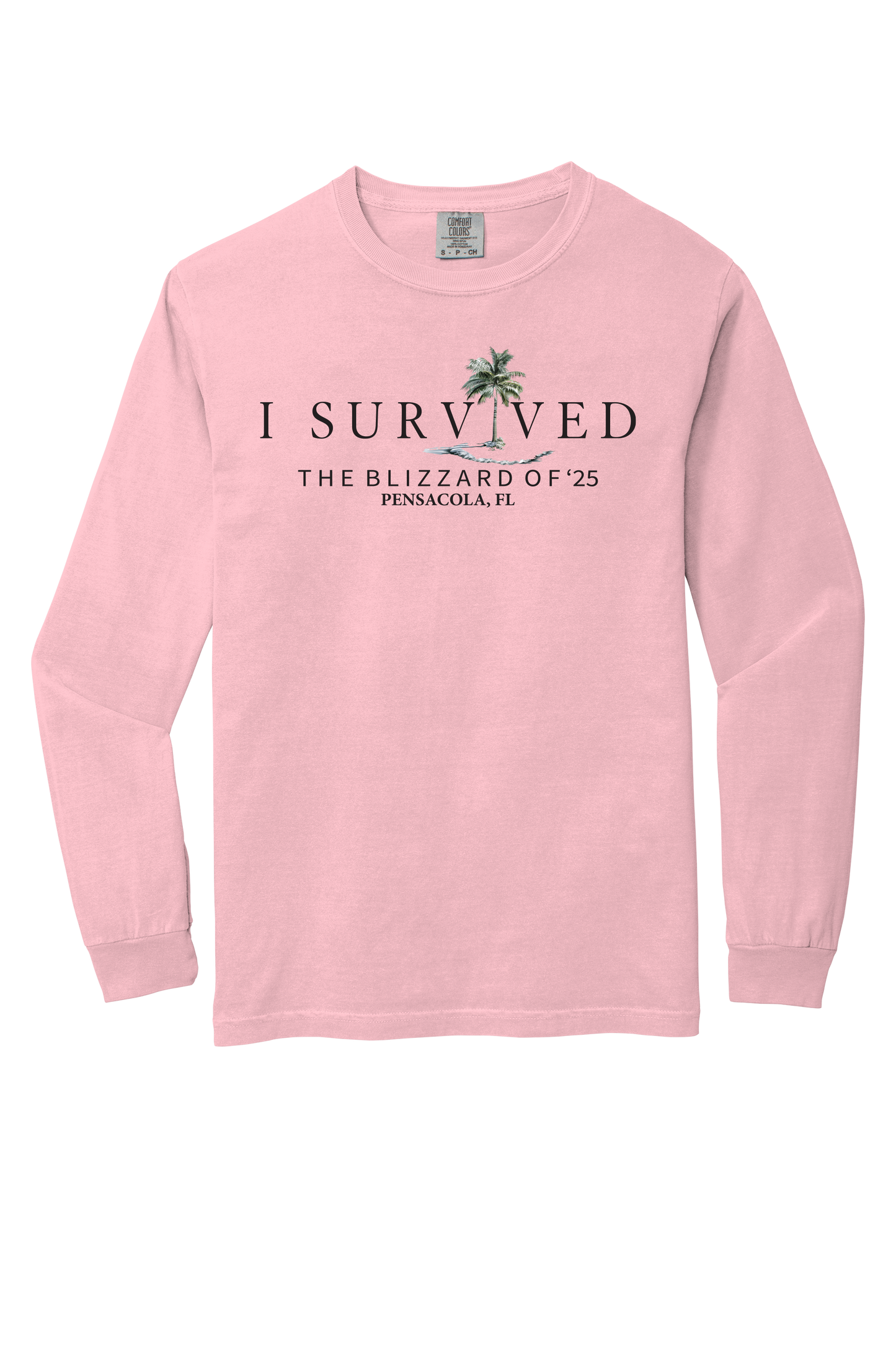 I Survived the Blizzard of 2025 Long Sleeve Comfort Color T-Shirt