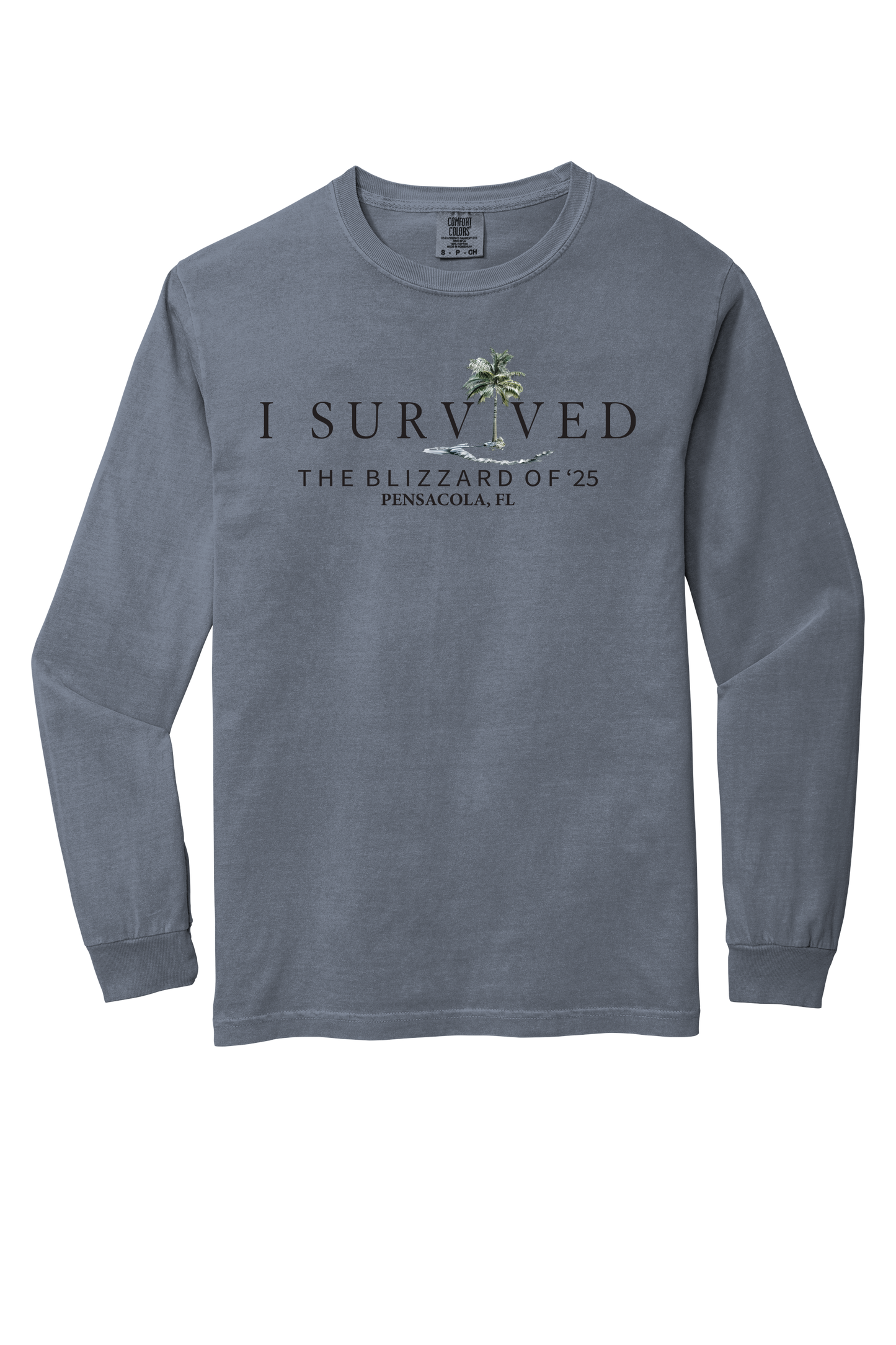 I Survived the Blizzard of 2025 Long Sleeve Comfort Color T-Shirt