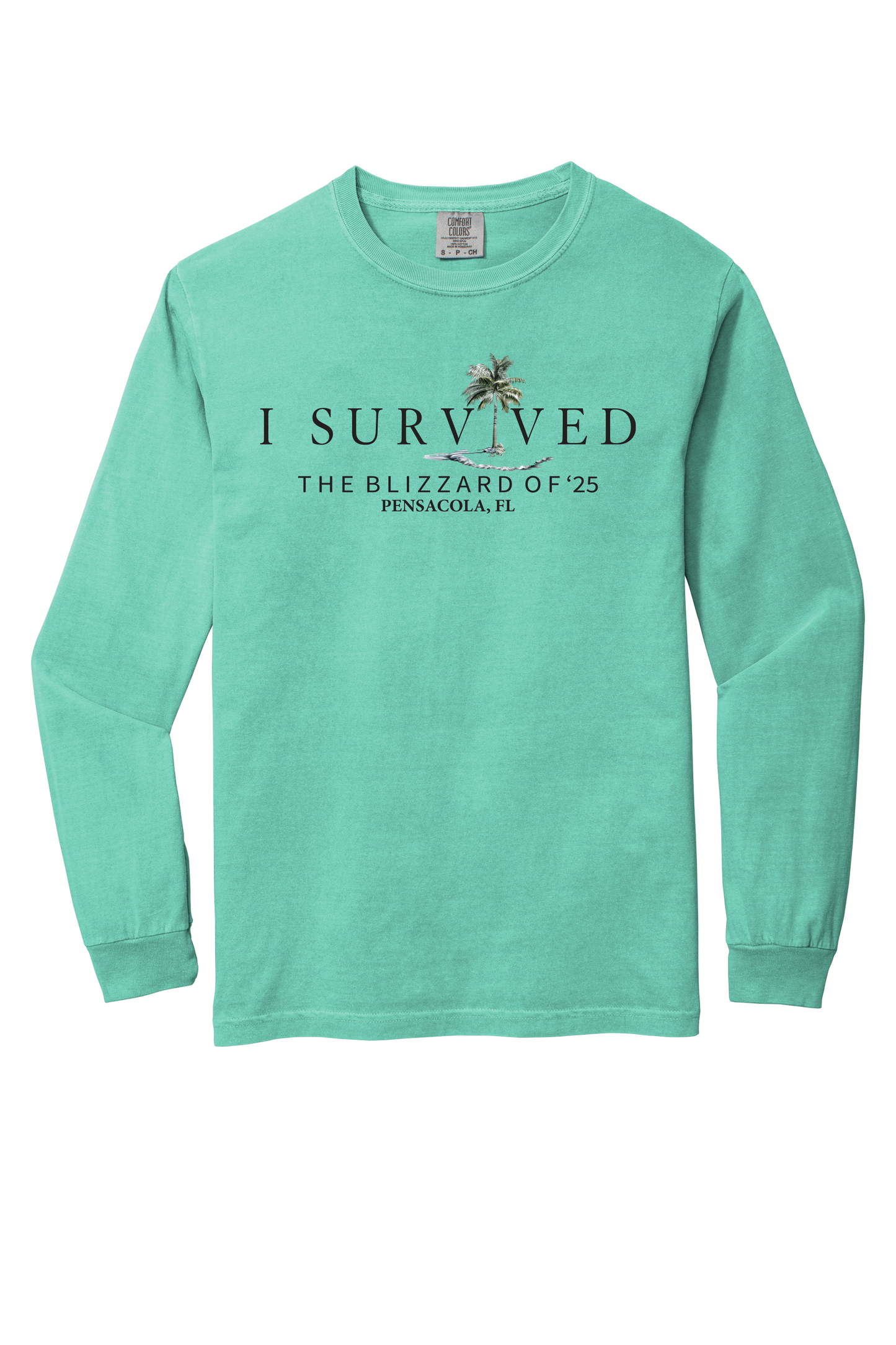 I Survived the Blizzard of 2025 Long Sleeve Comfort Color T-Shirt