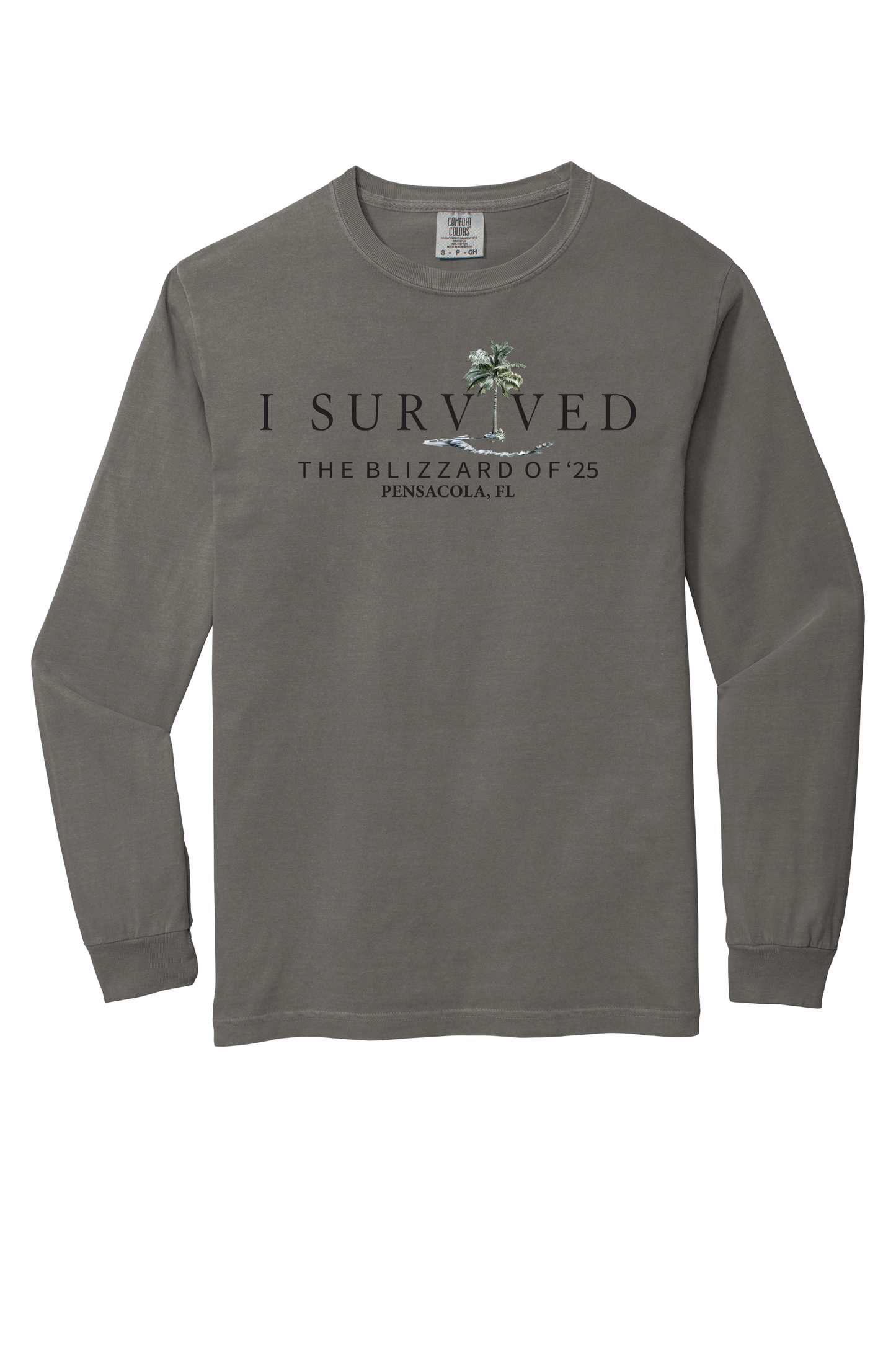 I Survived the Blizzard of 2025 Long Sleeve Comfort Color T-Shirt