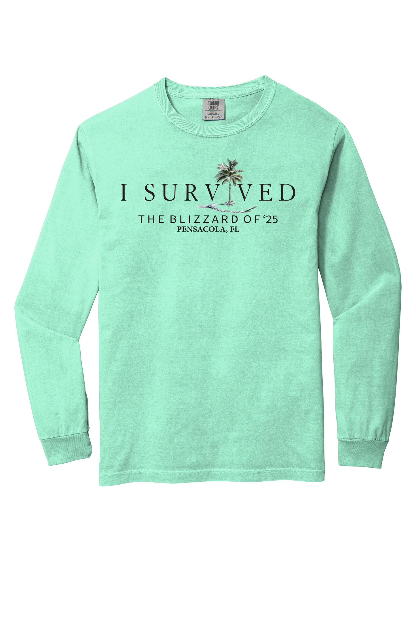 I Survived the Blizzard of 2025 Long Sleeve Comfort Color T-Shirt