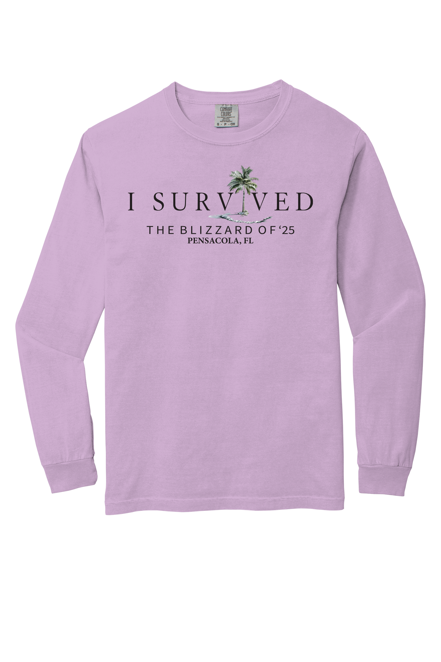 I Survived the Blizzard of 2025 Long Sleeve Comfort Color T-Shirt