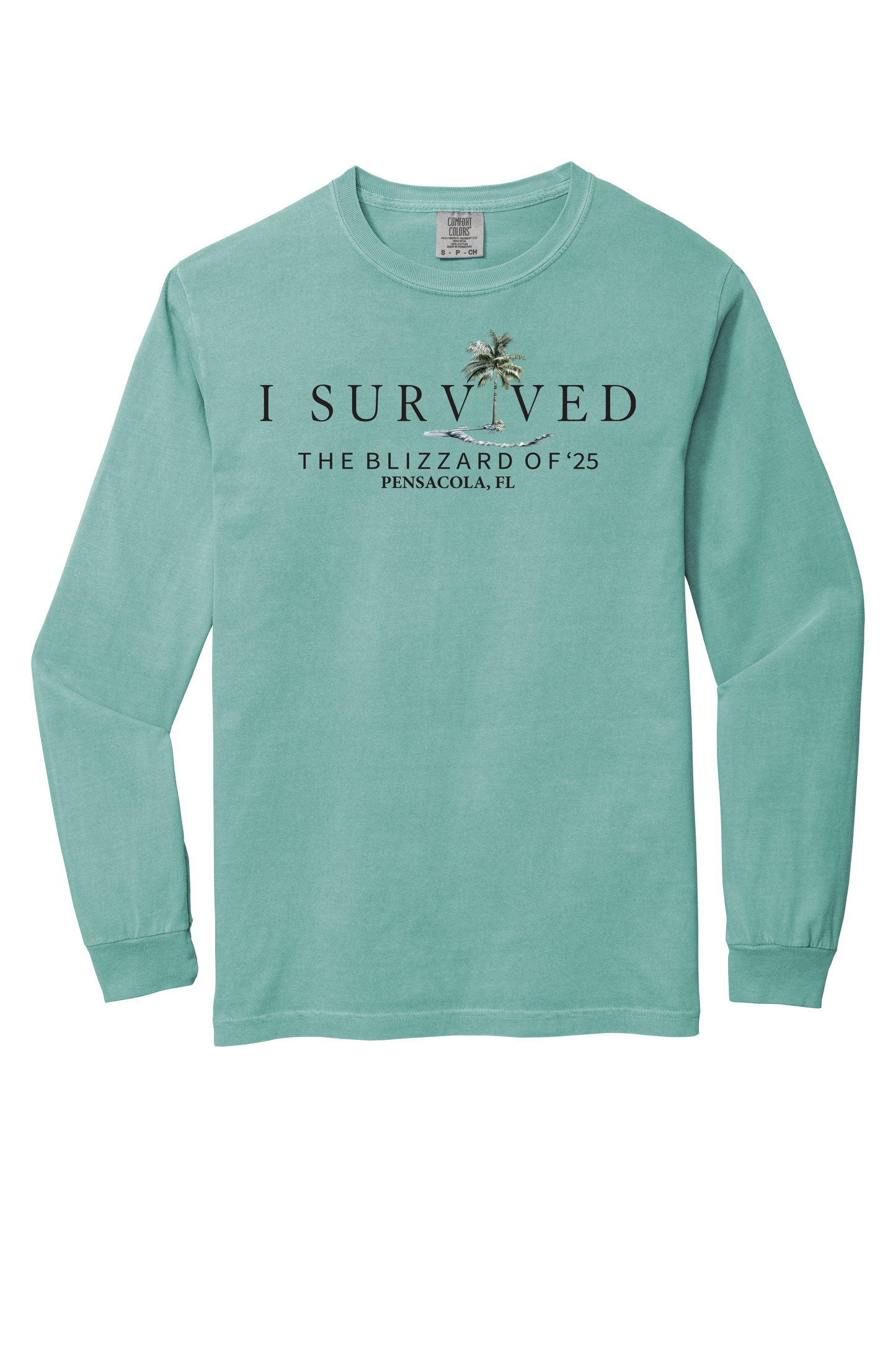 I Survived the Blizzard of 2025 Long Sleeve Comfort Color T-Shirt