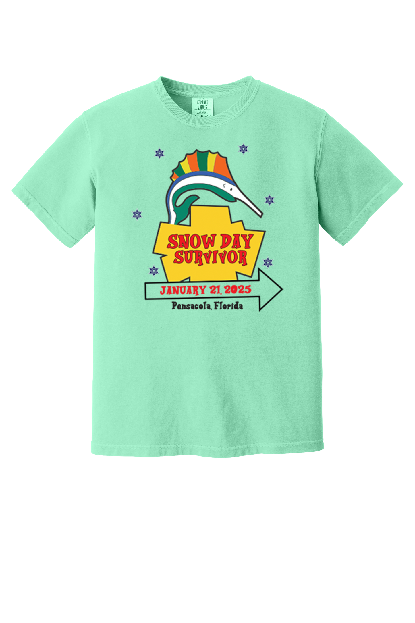 Pensacola Snow Day Survivor Sign T-Shirt