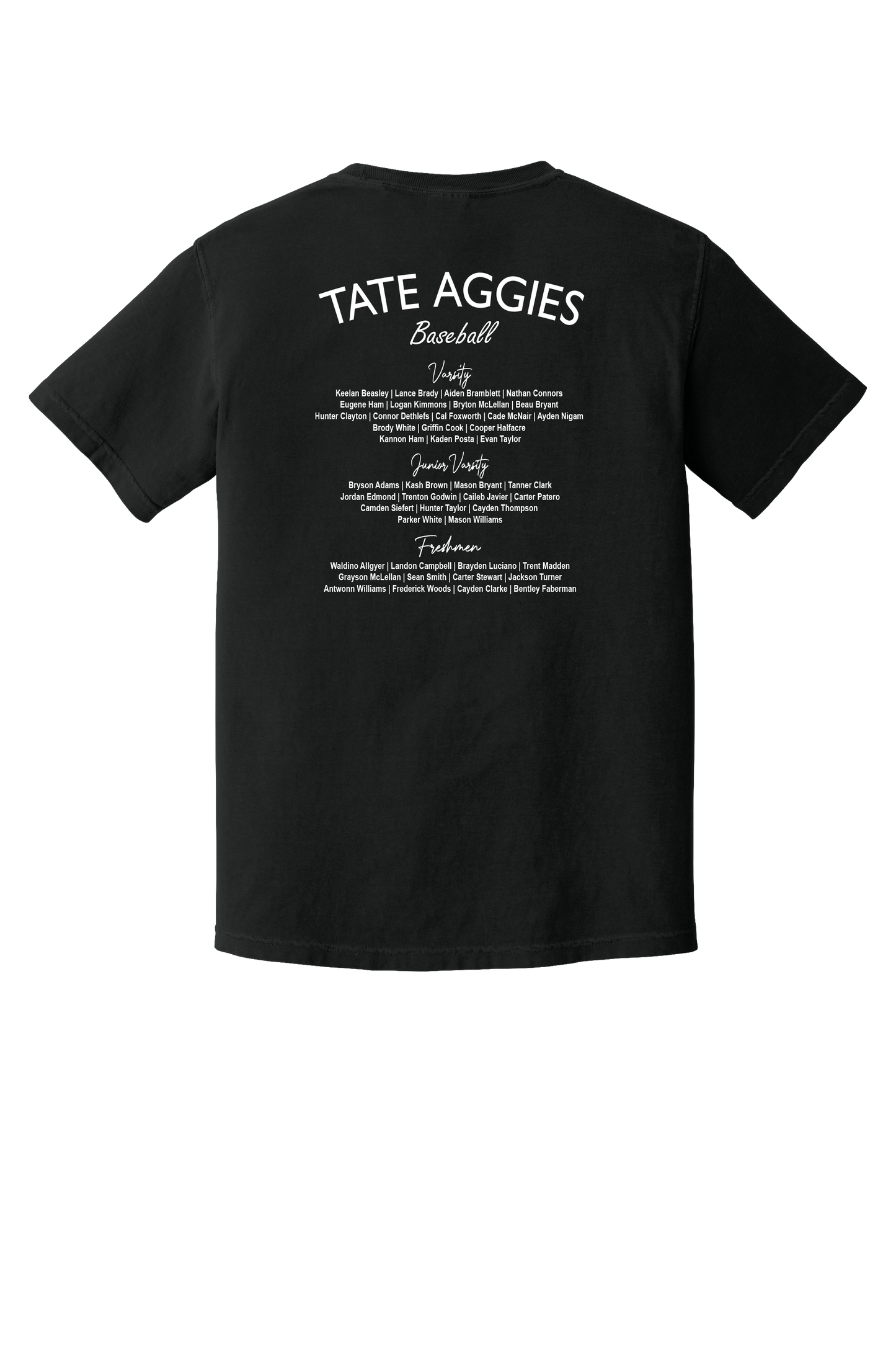 Tate Baseball 2026 Roster T-Shirt-Comfort Color