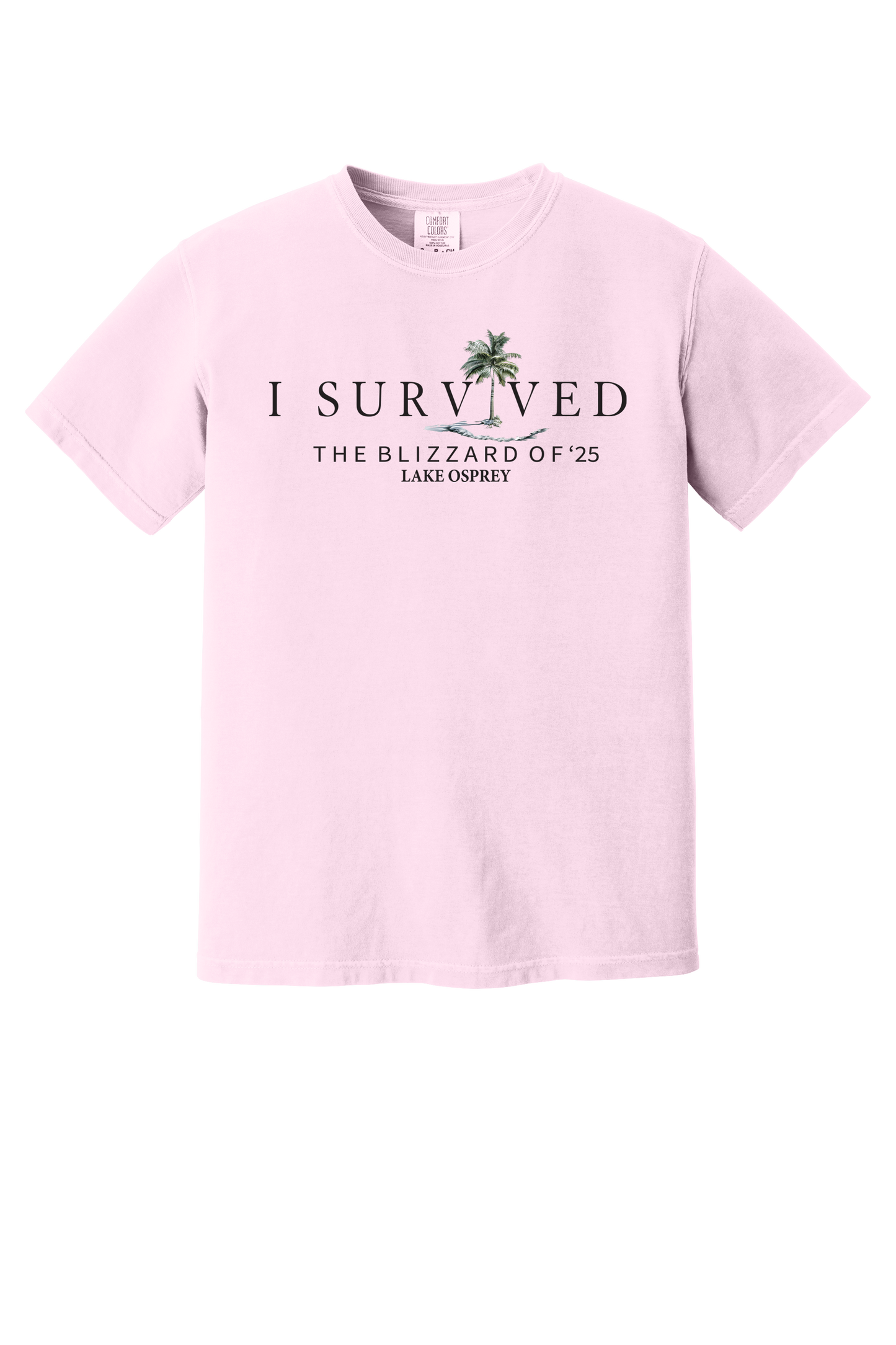 Lake Osprey I Survived the Blizzard of 2025 Short Sleeve T-Shirt