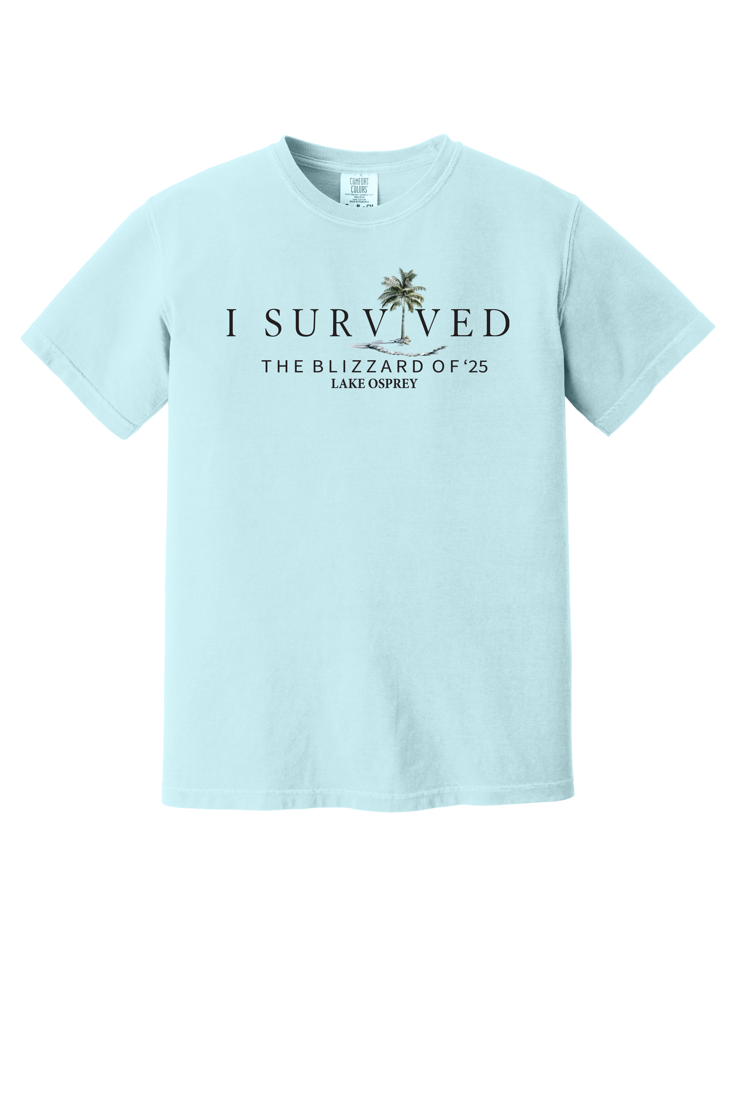 Lake Osprey I Survived the Blizzard of 2025 Short Sleeve T-Shirt