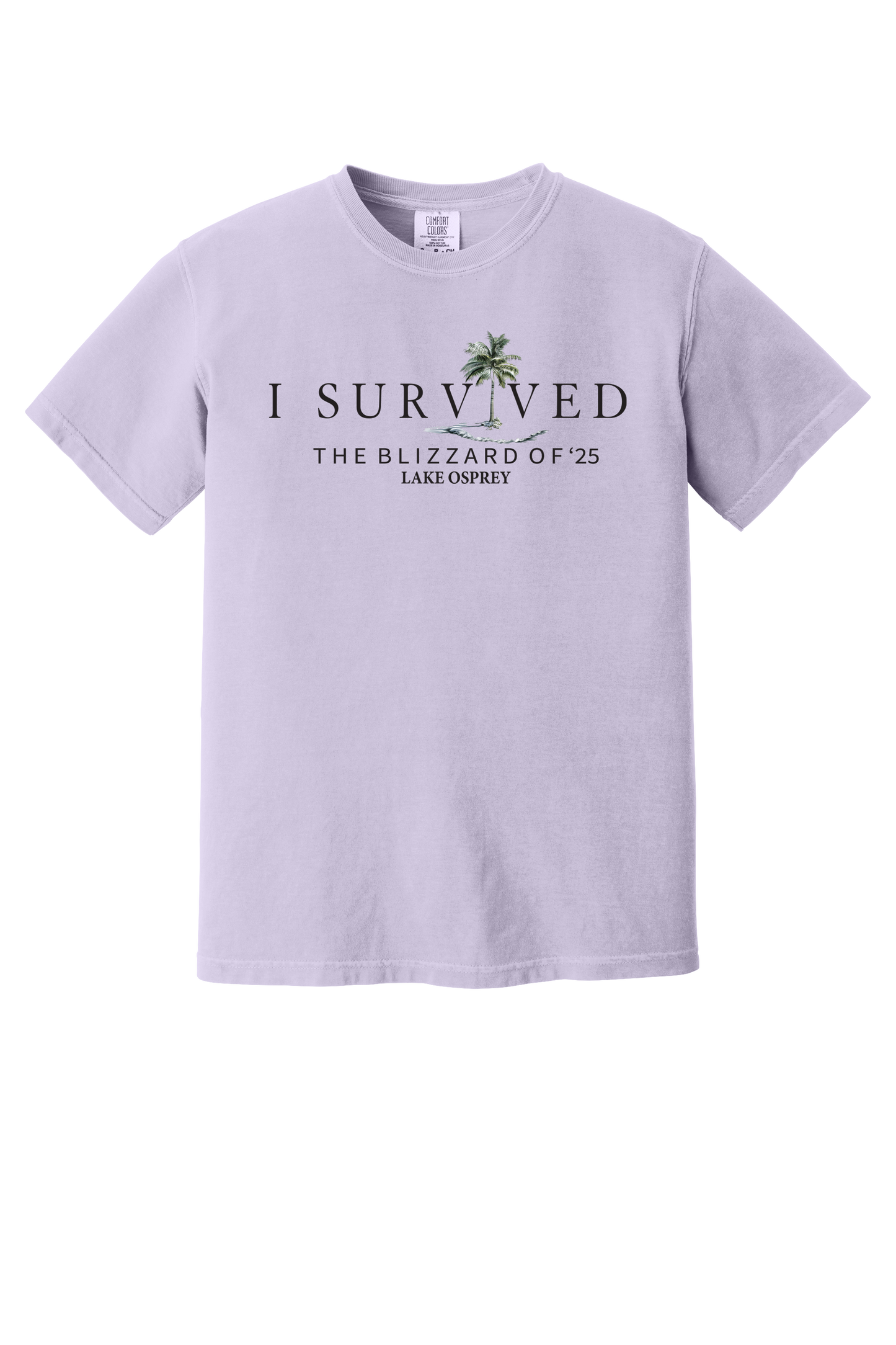 Lake Osprey I Survived the Blizzard of 2025 Short Sleeve T-Shirt