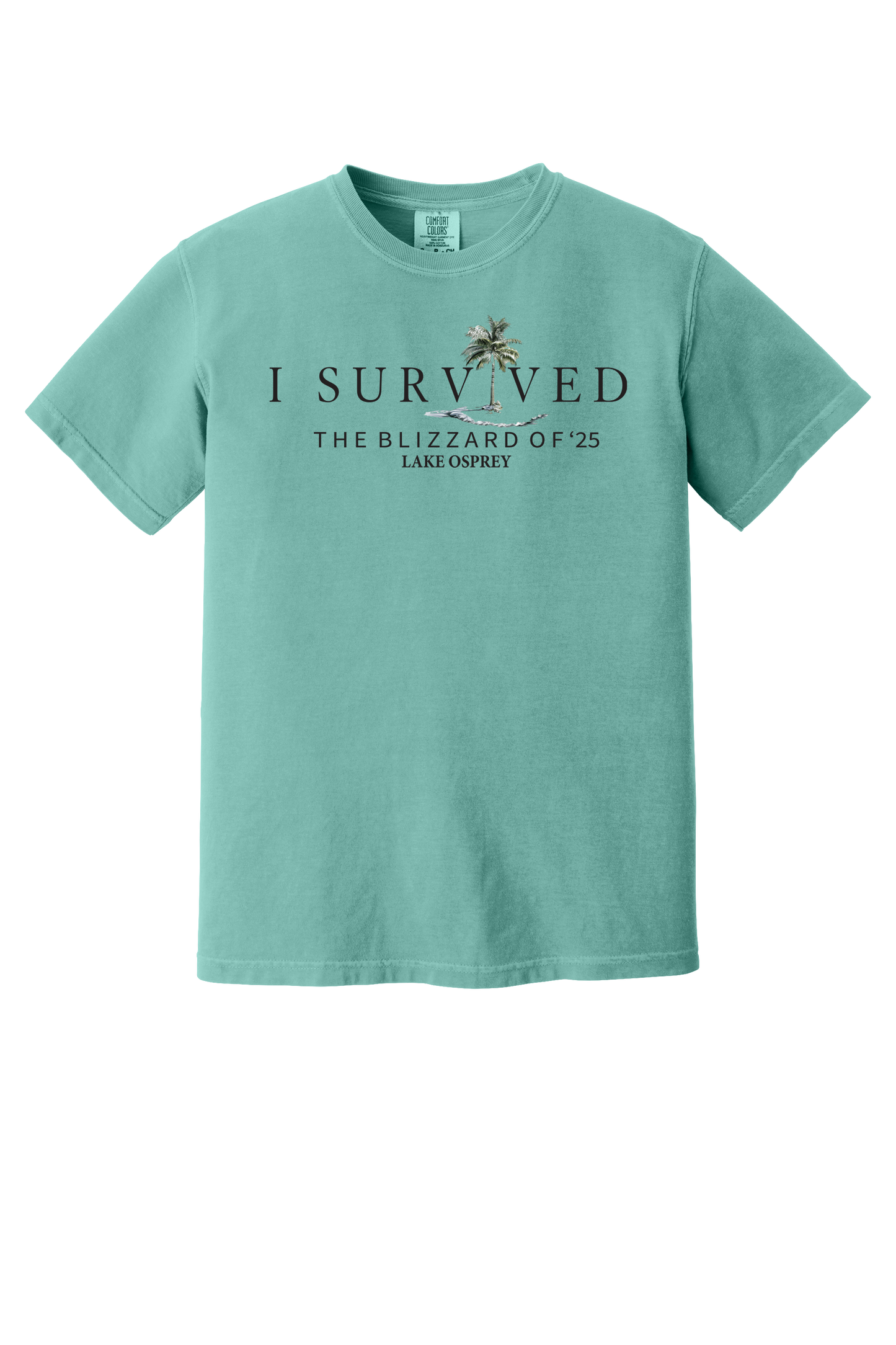 Lake Osprey I Survived the Blizzard of 2025 Short Sleeve T-Shirt