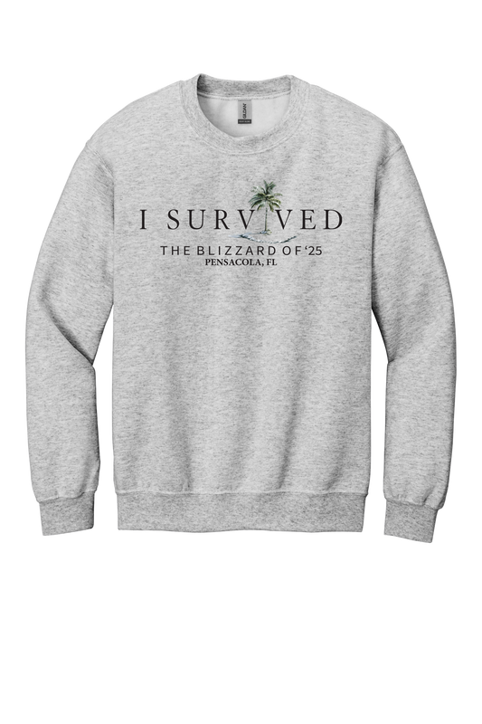 I Survived the Blizzard of 2025 Sweatshirt