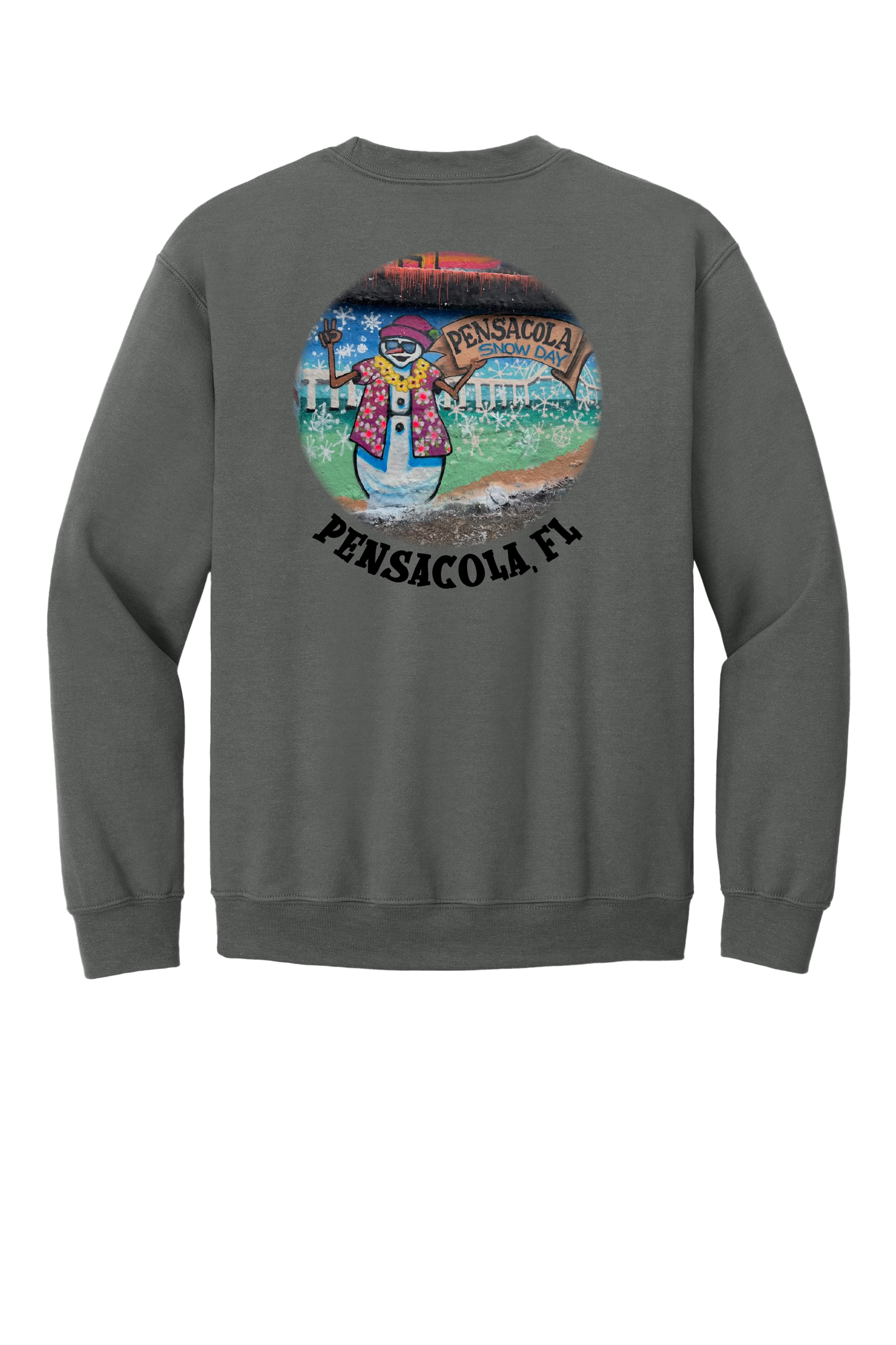 Pensacola Snow Day Survivor Sweatshirt-Gildan