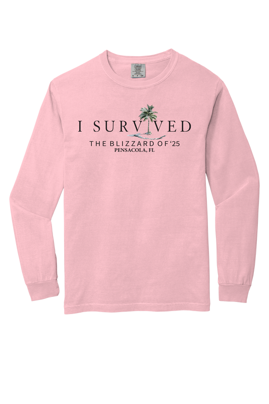 I Survived the Blizzard of 2025 Long Sleeve Comfort Color T-Shirt